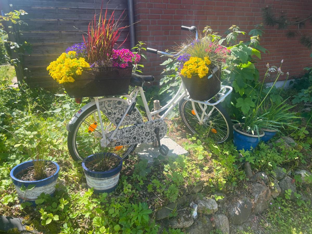 Segelund - Zeit Fuer Uns- Ruhige Und Sonnige Ferienwohnung Mit Terrasse Und Garten Nahe Strand Und Ostsee Шенгаґен Екстер'єр фото